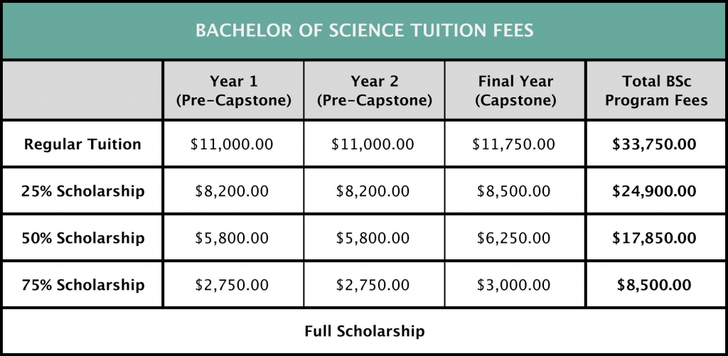 BSc Tuition Fees Gaia University bsc-tuition-fees-gaia-university