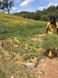 Kyle Smith Teaching Compost Making and Soil Building