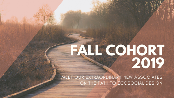 Ecosocial Design Fall Cohort