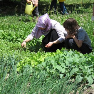 women in garden